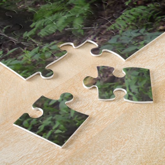 Puzzle Un sentier dans la forêt (Côté)