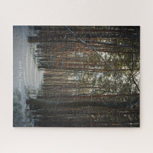 Puzzle Un sentier enneigé dans une pinède d'hiver (Horizontal)