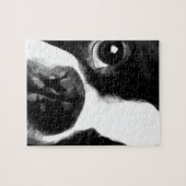 Puzzle Un terrier noir et blanc de Boston (Horizontal)