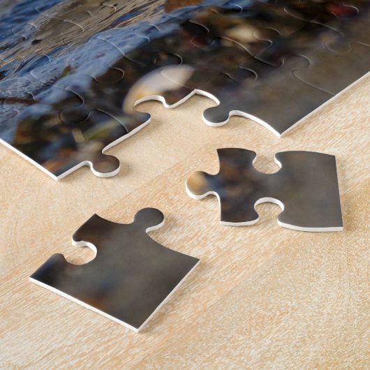 Puzzle Un troupeau de Dunlins et Sanderlings à la plage (Côté)