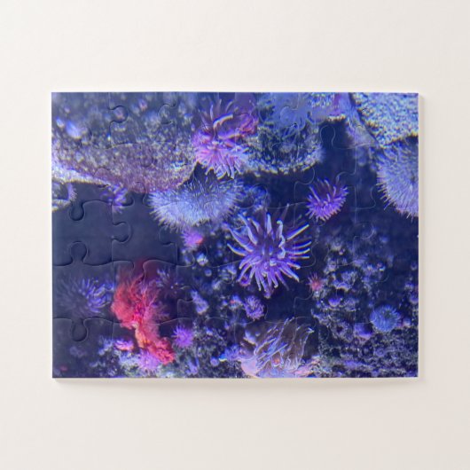Puzzle Underwater (Horizontal)