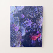 Puzzle Underwater (Vertical)