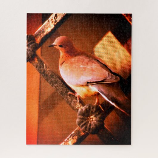 Puzzle Une adorable colombe (Vertical)