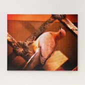 Puzzle Une adorable colombe (Horizontal)