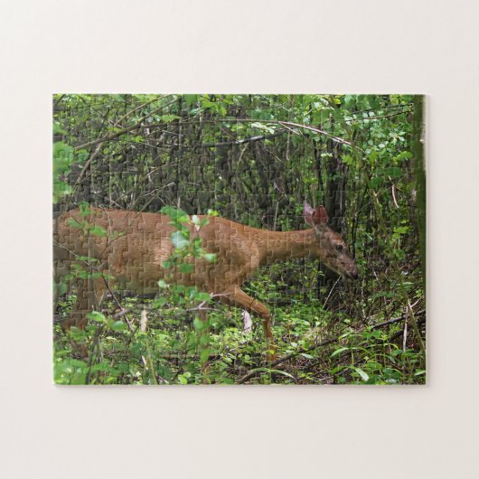 Puzzle Une balade par les bois (Horizontal)