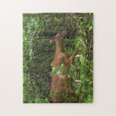 Puzzle Une balade par les bois (Vertical)