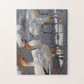 Puzzle Une bande curieuse de bernaches du Canada (Vertical)