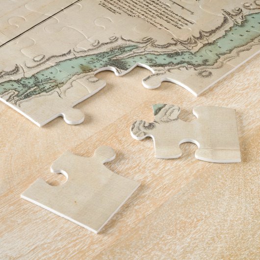 Puzzle Une étude du lac Champlain (Côté)
