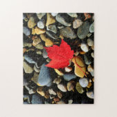 Puzzle Une feuille d'érable sur un fond de roche (Vertical)