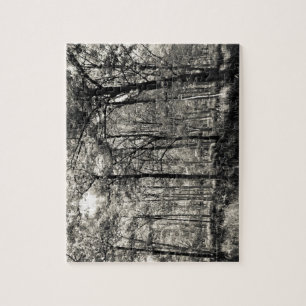 Puzzle Une forêt anglaise