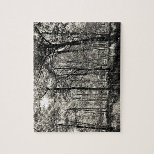 Puzzle Une forêt anglaise (Vertical)