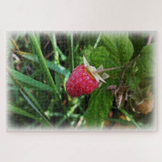 Puzzle Une framboise mûre (Horizontal)