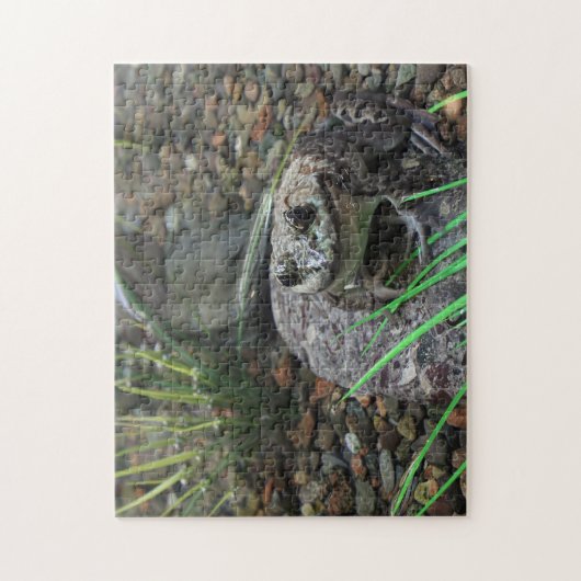 Puzzle Une grenouille heureuse (Vertical)
