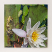 Puzzle Une grenouille sous une fleur de nénuphar (Horizontal)