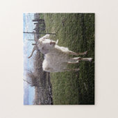 Puzzle Une jeune chèvre (Vertical)