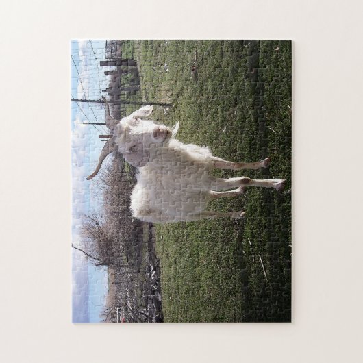 Puzzle Une jeune chèvre (Vertical)