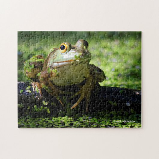 Puzzle Une jolie grenouille verte frappe un pot sur le tu (Horizontal)