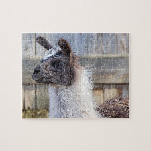 Puzzle Une joyeuse Llama (Horizontal)