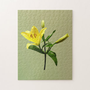 Puzzle Une Lys Jaune