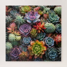 Une masse de succulentes