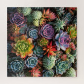 Puzzle Une masse de succulents (Horizontal)