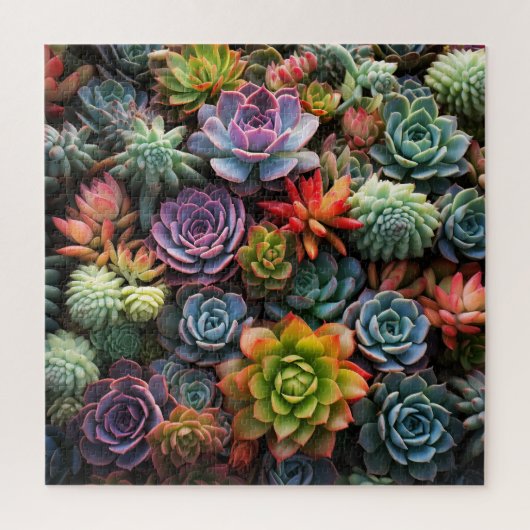 Puzzle Une masse de succulents (Vertical)