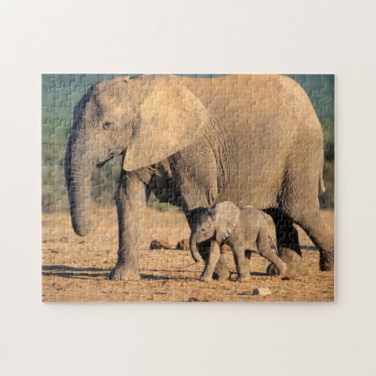 Puzzle Une mère éléphant d'Afrique et son petit en déplac (Horizontal)