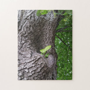 Puzzle Une nouvelle brindille