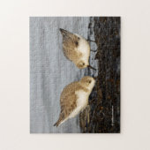 Puzzle Une paire d'actions Sanderlings (Vertical)