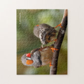 Puzzle Une paire de poches de Zebra Finches (Vertical)