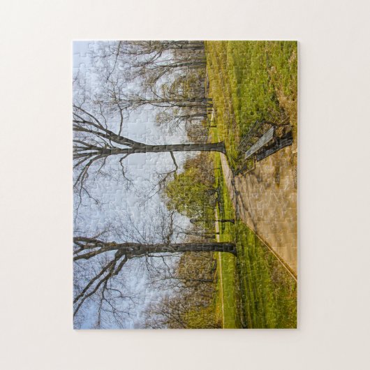 Puzzle Une photo Abstraite de Central Park New York. (Vertical)