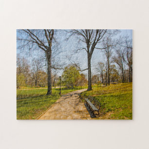 Puzzle Une photographie abstraite de Central Park New Yor