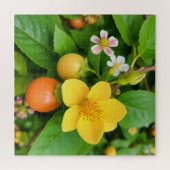 Puzzle Une plante à fleurs (Horizontal)