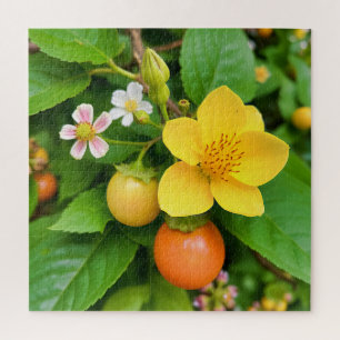 Puzzle Une plante à fleurs