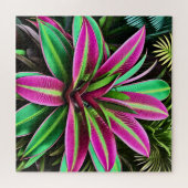 Puzzle Une plante exotique. (Horizontal)