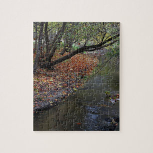 Puzzle Une promenade dans Wildwood