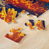 Puzzle Une scène sous-marine fascinante (Côté)