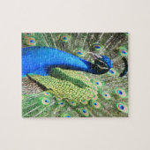 Puzzle Une superbe photo de Peacock (Horizontal)