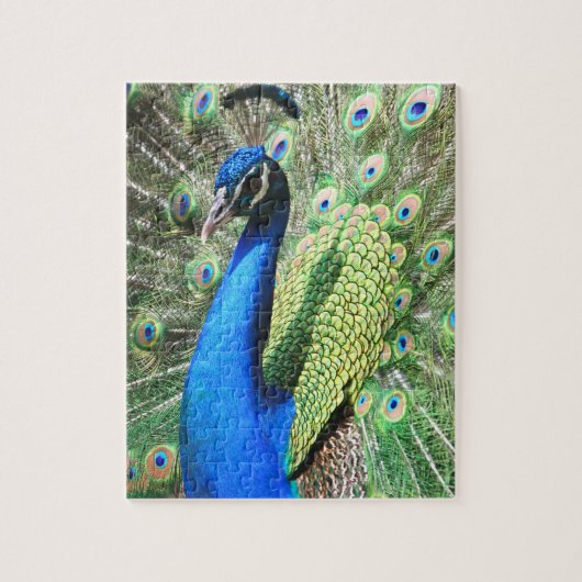 Puzzle Une superbe photo de Peacock (Vertical)