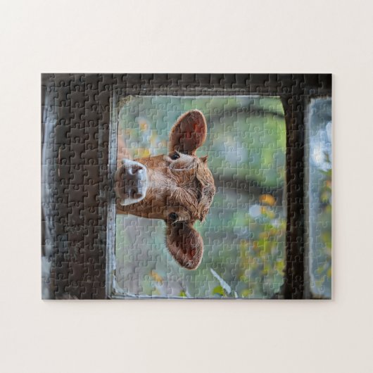 Puzzle Une vache curieuse qui regarde à travers une fenêt (Horizontal)