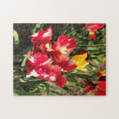 Puzzle Unique Tulipe rouge et blanche (Horizontal)