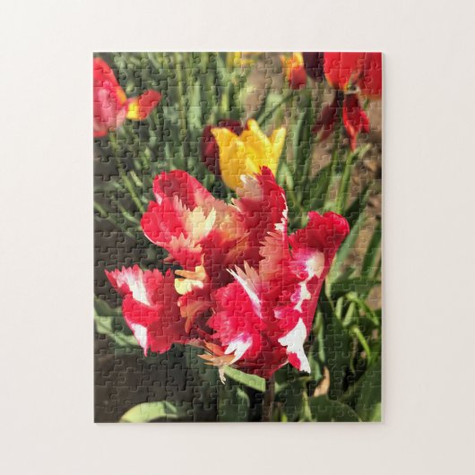 Puzzle Unique Tulipe rouge et blanche (Vertical)