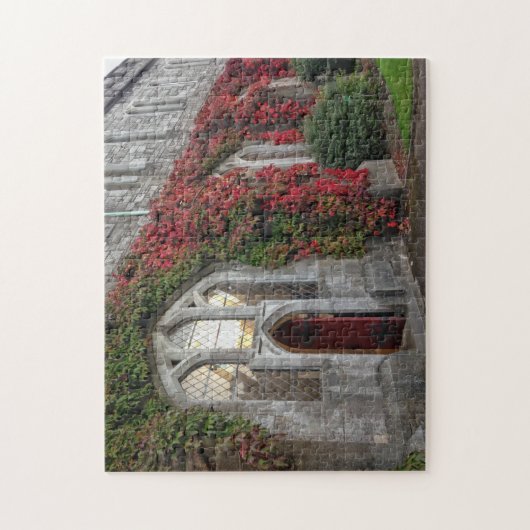 Puzzle University College Cork Fall Colours Irlande Puzzl (Vertical)