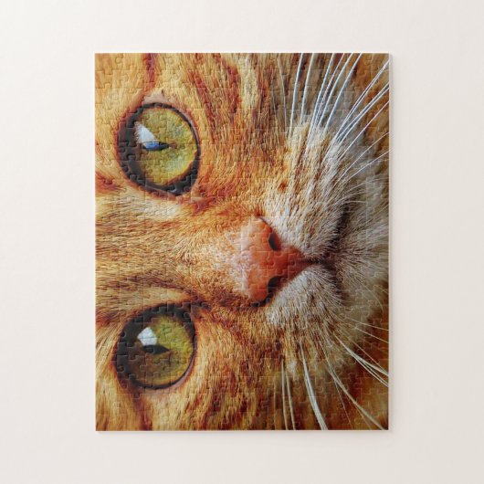 Puzzle Up Close of Orange Tabby Cat (Vertical)