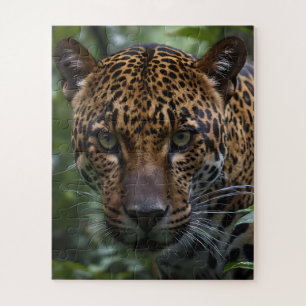Puzzle Up Cose Est Un Jaguar Qui Marche Dans La Forêt,
