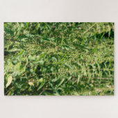 Puzzle Urtica dioica, (Horizontal)