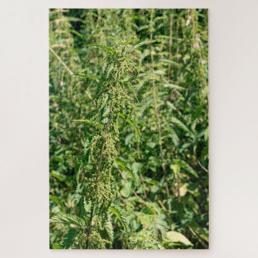 Puzzle Urtica dioica, (Vertical)