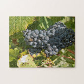 Puzzle Uruguay, Montevideo, Colon Area. Bodegas (Horizontal)