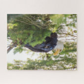 Puzzle US48 TDR1627.jpg (Horizontal)