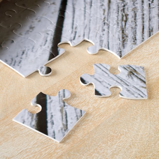 Puzzle US Founding Documents (Côté)